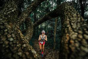 BIB: 
                            <button type="button" onclick="openModal(25672742)" class="btn btn-primary btn-sm float-right btn-popup" data-toggle="modal" data-target=".modal-high-quality">
                        <i class="fas fa-shopping-cart"></i> Add to Cart
                    </button>
                                            <button type="button" onclick="isThisMe(25672742, true)" class="btn btn-success btn-sm float-right btn-popup btn-isme hidden" data-toggle="tooltip" data-placement="bottom" title="นี่คือรูปของคุณใช่ไหม คลิกที่นี่เพื่อเอาเข้าอัลบั้ม">
                        <i class="fas fa-plus"></i> Add to album
                    </button>
                    <button type="button" onclick="isThisMe(25672742, false)" class="btn btn-warning btn-sm float-right btn-popup btn-isnotme hidden">
                        <i class="fas fa-ban"></i> Remove from album
                    </button>